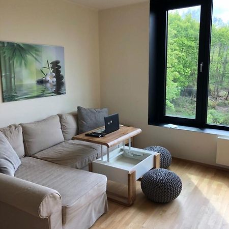 קרלובי וארי Triplex Residence, Lux-Appartment In The Central Part מראה חיצוני תמונה